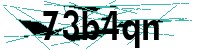 Security verification captcha