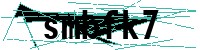 Security verification captcha
