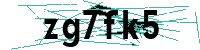 Security verification captcha