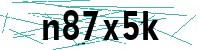 Security verification captcha
