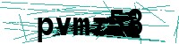 Security verification captcha