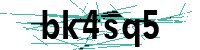 Security verification captcha