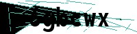 Security verification captcha