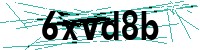 Security verification captcha