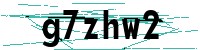 Security verification captcha