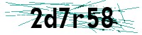 Security verification captcha