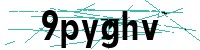 Security verification captcha