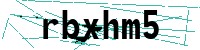Security verification captcha