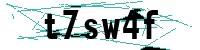 Security verification captcha