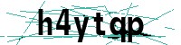 Security verification captcha