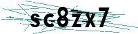 Security verification captcha