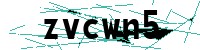 Security verification captcha