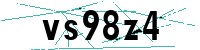 Security verification captcha