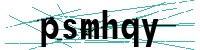 Security verification captcha