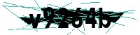 Security verification captcha