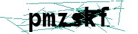 Security verification captcha