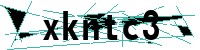 Security verification captcha