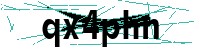 Security verification captcha