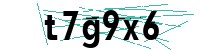 Security verification captcha