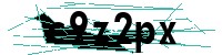 Security verification captcha