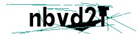 Security verification captcha