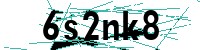 Security verification captcha