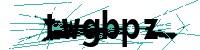 Security verification captcha