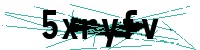 Security verification captcha