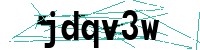 Security verification captcha
