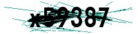 Security verification captcha