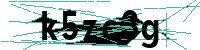 Security verification captcha