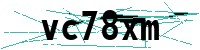 Security verification captcha